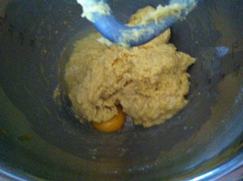 foto 2 (2)