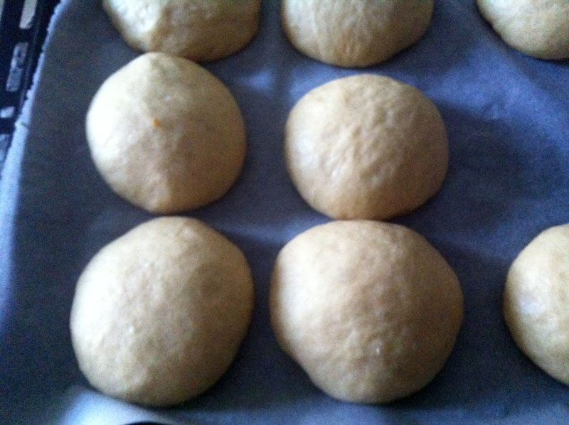 foto-2-(2)