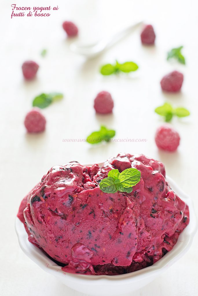 Frozen yogurt ai frutti di bosco